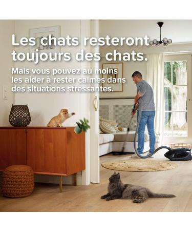 BEAPHAR CATCOMFORT - Electric pheromone diffuser for cats - Reduces stress and unwanted behavior without dependency or drowsiness - 1 plug and 1 refill of 48 ml - Buy Online on GoSupps.com