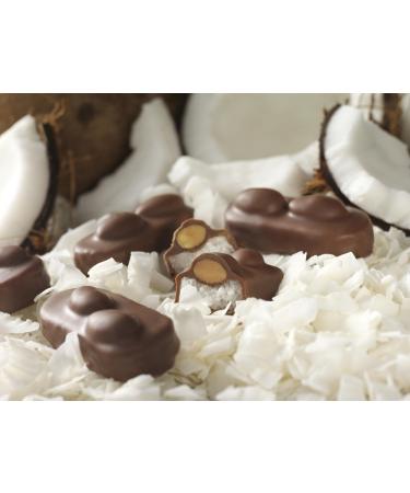 ALMOND JOY Chocolate Coconut Candy Bar Snack Size - 20.1 Ounce (Pack of 1) - Buy Online on GoSupps.com