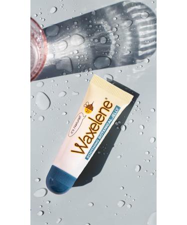 Waxelene Organic Multi-Purpose Ointment-Large & Lip Tube | Natural Skin Care - Buy Online on GoSupps.com