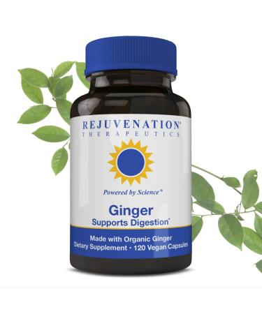 Rejuvenation Therapeutics Organic Ginger - Digestive Function Support (120 Vegan Capsules 500 mg)