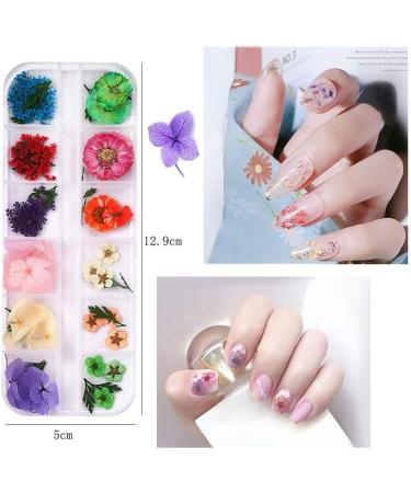 Kalolary Nail Art Kit with Butterfly Sequins, Dried Flowers, Foil, Shavings, Rhinestones, Tweezers, and Picker Pencil - DIY Female Nail Decoration - Buy Online on GoSupps.com