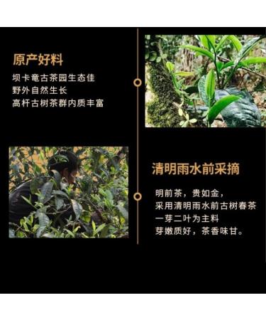 357g Yunnan Menghai Jardin De Th Ancien Arbre Ancien Pu - Th Cru Erh Tr sor De Th Saveur Ancienne - Buy Online on GoSupps.com