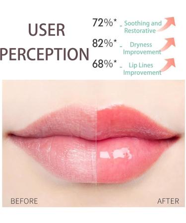 Lip Balm Lip Oil Lip Balms Moisturising Lip Care With Natural Oils For 24h Moisture Care Natural Lip Protection Lip Repair Gifts For Teenage Girls Set B - Buy Online on GoSupps.com