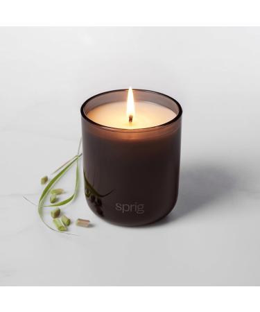 Sprig by Kohler Recharge Aromatherapy Candle - 100% Natural Soy-Coconut Wax Uplifting Bergamot & Lemongrass Scent Perfect Holiday Gift 8 oz - Buy Online on GoSupps.com
