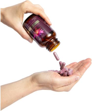 VINIA by BioHarvest Sciences: Sustainably Produced 12-Hour Sustained Release Piceid Resveratrol from Red Grapes Powder - Buy Online on GoSupps.com