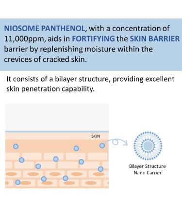 Buy MAKEPREM Comfort Me Panthenol Moisture Essence 2.70 fl. oz. | Deep Hydration & Skin Strengthening - International Shipping Available - Buy Online on GoSupps.com