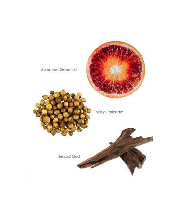 Gilchrist & Soames Warm Oak Hand Wash - 9oz - Natural Essential Oils - All Skin Types - Paraben, Sulfate, and Phthalate-Free - Buy Online on GoSupps.com