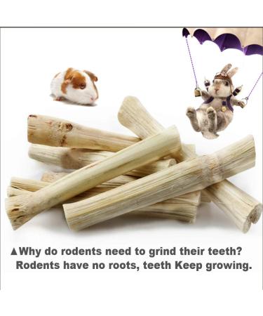 Natural Sweet Bamboo Rabbit Chew Toys & Treats for Healthy Teeth & Gums Ideal for Rabbits, Hamsters, Chinchillas, Guinea Pigs, Squirrels 5.29 oz (1 Pack) - Buy Online on GoSupps.com