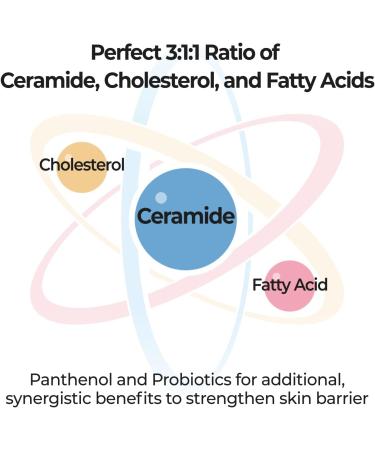 numbuzin No.2 Protein 43% Creamy Serum | Core Protein Complex Oat Protein Ceramide Panthenol Skin Barrier Strengthening Tighten Loose Skin | Korean Skin Care for Face 50ml - Buy Online on GoSupps.com