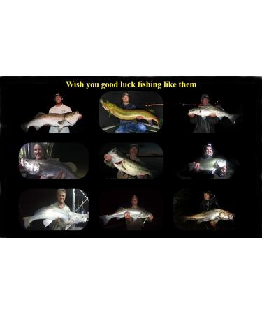 Fishing Glow Sticks 100 PCS - Upgraded Lucky Green Light for Floats, Bobbers, Rod Tips - Long-Lasting & More Visible - Buy Online on GoSupps.com