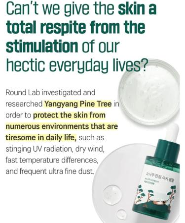 ROUND LAB Pine Tree Soothing Cica Ampoule Pine Tree Verzachtende Cica Ampoule 30ml - Buy Online on GoSupps.com