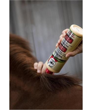 Buy RL24 Leovet Organic Skin Oil for Horses | Relieve Itching Summer Eczema & Dry Skin | Strengthening Skin Lotion with Organic Sulfur | 500 ml - Buy Online on GoSupps.com
