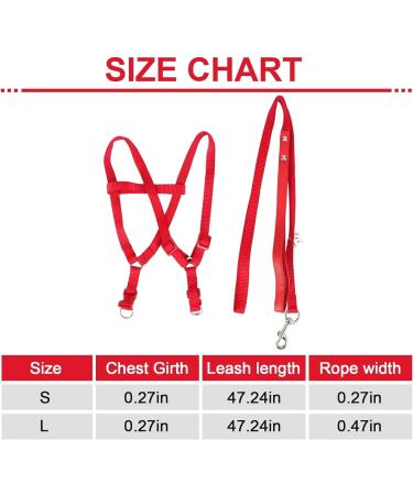 Felenny Bird Dishes & Adjustable Leash - Essential Outdoor Accessories for Scarlet Red Ara Sun Conure & Nymphensittich - Small Anti-Bite Solutions - Buy Online on GoSupps.com