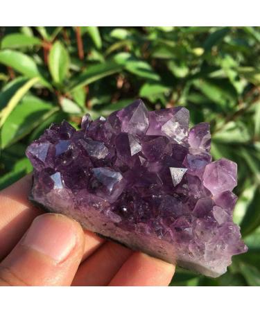 Natural Crystal Rough Natural Amethyst Quartz Crystal Cluster Specimen 50-60g - Buy Online on GoSupps.com