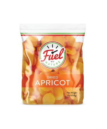 1lb Bag of Dried Apricots by Fuel by Nature, Healthy Snack On The Go, Dried Fruit Bulk 1 Pound (Pack of 1)