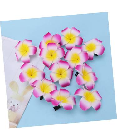 DOITOOL Girl Bows for Hair Hawaiian Barrettes Foam Hair Clips Girl Hair Clips Flower Hairpin Hair Accessory for Girls Floral Hair Accessories Hair Clips for Girls Summer Headgear - Buy Online on GoSupps.com