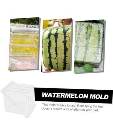 Uonlytech Fruit Vegetables Cucumber Molds for Garden Stair Basket Vegetable Molds Tool Forming Machine Pumpkin 15x15cm Transparent - Buy Online on GoSupps.com