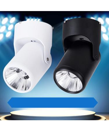 GRIRIW Monkey Wrench Tool Spotlight Ceiling Downlight Spot Light Adjustable Ceiling Light Small Wall Lamp Sushi Stencil Black Size 4 - Buy Online on GoSupps.com