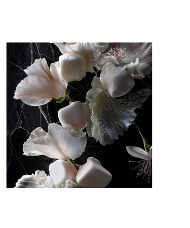fine'ry. EDP Perfumes - No Prince Required - 2 fl oz - Buy Online on GoSupps.com