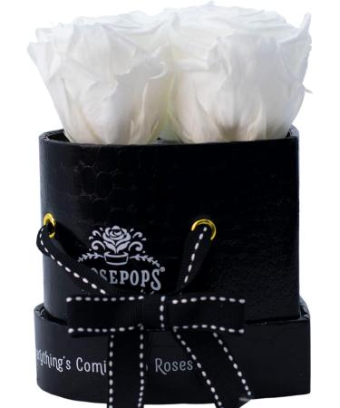 ROSEPOPS Pop-Up Three Preserved Real Roses - Three Scented Blooms Last One Year or Longer - Black Mock Croc Heart Shape Box (Marshmallow Fluff Roses) Marshmallow Fluff Black Croc - Buy Online on GoSupps.com
