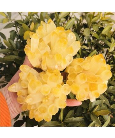 Home Decoration 500-600g Phantom Quartz Crystal Cluster 1pc s Home Collections - Buy Online on GoSupps.com