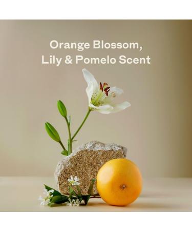 Skipper Laundry Detergent Sheets Starter Kit - 50% Larger 120 Sheets (240 Loads) + Storage Tin - Orange Blossom | Eco-Friendly International Shipping - Buy Online on GoSupps.com