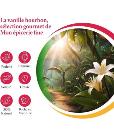 10 Vanilla BOURBON pods from Madagascar Gourmet Selection Fresh and Flexible Vanilla Bean Recyclable Zip Bag Made in Europe - Buy Online on GoSupps.com