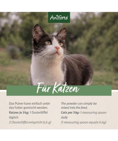 AniForte Complete Powder for Raw Food 100g - Barf Complete Food for Cats - Buy Online on GoSupps.com