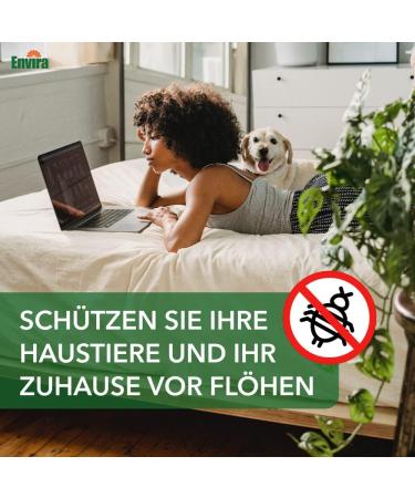 Envira Flea Spray - 2L Eco-Friendly Anti-Flea Treatment for Home | Odorless Water-Based Solution - Buy Online on GoSupps.com