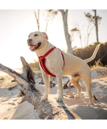 EZYDOG Classic Chest Plate Harness | Small Black Dog Harness with Reflective Stitching - No Pull and Breathable - Buy Online on GoSupps.com