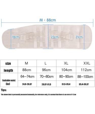 Lordosis Support Belt - Breathable Hip & Waist Support for Men & Women | XL Firm Sports Health Belt - Buy Online on GoSupps.com