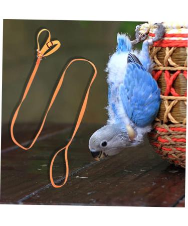 GRIRIW 1pc Animal Leash Small Animal Harness Leash Parrot Harness Lizard Pet Traction Belt Bird Polyester 135 1 0.1CM Orange - Buy Online on GoSupps.com