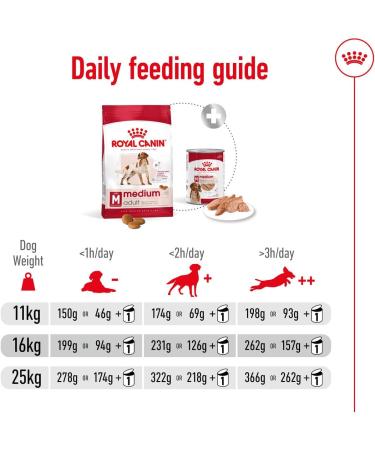 Royal Canin Medium Adult 4 kg - Buy Online on GoSupps.com