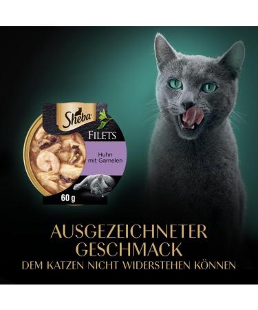Sheba Fillets Wet Cat Food - Chicken with Shrimps - 16x60g Pack | Finest Cat Treats for Happy Cats - Buy Online on GoSupps.com