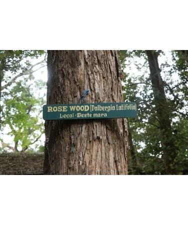Pure Natural Rosewood Essential Oil Blend - 50ml | Dufte Momente | Aromatherapy & Natural Cosmetics - Buy Online on GoSupps.com