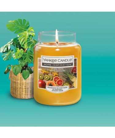 Mesmerising Large Size Highly Scented Candles | Home Decor | Aromatherapy | Meditation | Long Lasting | Natural Flavours | Refreshing Scents | Stylish Packaging (Assorted - Pack of 6) - Buy Online on GoSupps.com