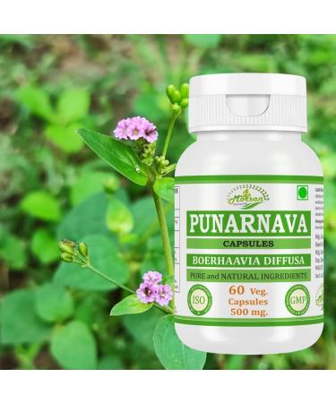 Punarnava Capsules | Supports Kidney Health & Natural Detox | Helps Reduce Water Retention | 60 Veg Capsules 1 - Buy Online on GoSupps.com