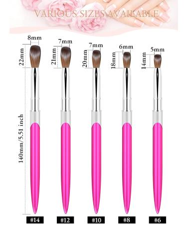 EBANKU Pure Kolinsky Acrylic Nail Brush Size 8 - Metal Handle Professional Oval Shaped Brush for Women - Ideal for Acrylic Application and Nail Art - Buy Online on GoSupps.com