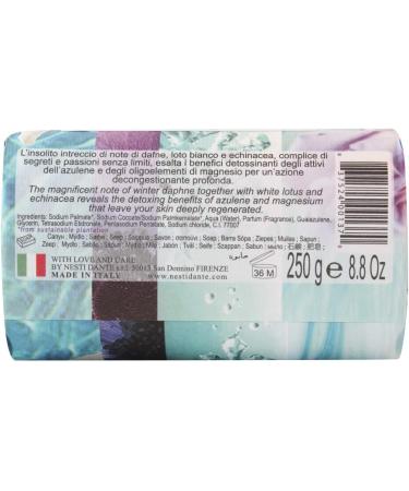 NESTI DANTE Philosophia Detox Soap 250 g - Buy Online on GoSupps.com