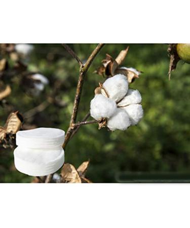 Frcolor 200pcs Makeup Face Pads - Soft Thickened 3-Layer Cotton Remover for Effortless Makeup Removal | International Shipping Available - Buy Online on GoSupps.com