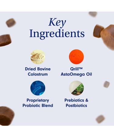 PetLab Co. Allergy & Immune Daily Probiotics for Dogs - 30 Chews | Supports Yeast Allergies Itchiness & Gut Health - Buy Online on GoSupps.com
