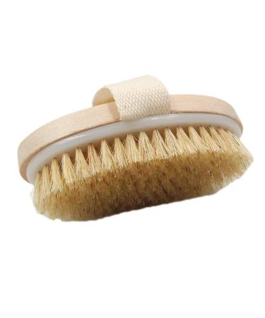 Hyshina Dry Skin Body Brush Improves Skin's Health and Beauty Natural Bristle Remove Dead Skin and Toxins Cellulite Treatment Improves Lymphatic Functions Exfoliates Stimulates Blood Circulation