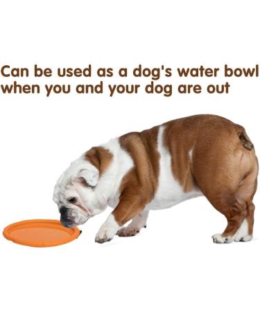 Buy Vivifying Frisbee Dog - Set of 2 Natural Rubber 15 cm Dog Frisbees for Land & Water (Green + Orange) - International Shipping Available - Buy Online on GoSupps.com