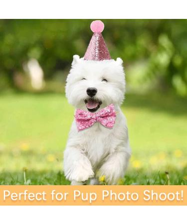 Dog Birthday Hat Dog Party Hat Kit with Bow Tie Collar and Blue Number for Pet Puppy Cat Birthday Decorations Pet Costumes Headwear Accessories 3 Pcs (Pink) - Buy Online on GoSupps.com