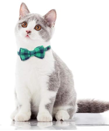 Shop TagME Green Cat Collar for Kittens - Personalized with Name & Phone Number Safety Clasp & Bell - 1 Pack - Buy Online on GoSupps.com