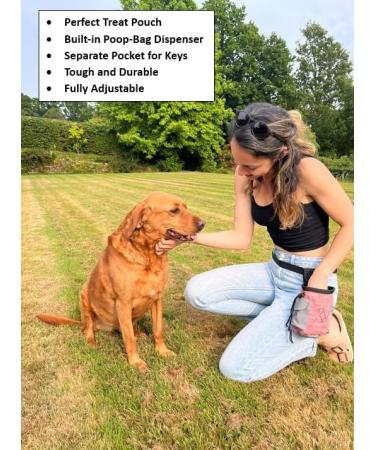 Dog Treat and Toy Pouch with Poop Bag Dispenser Hands-Free with Waist Belt & Clip for Dog Training (BLUE/PINK/BEIGE) - Buy Online on GoSupps.com