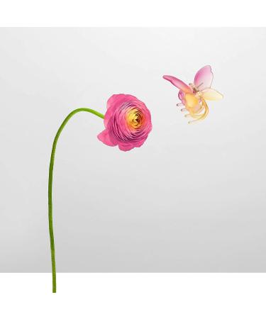 Iced Papillon Clip - Ombre Butterfly Claw Clip by The Hair Edit - Buy Online on GoSupps.com