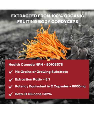 ENERGIZE NOW by EVERSIO WELLNESS - Organic Cordyceps Mushroom Supplement - 8:1 Cordyceps Militaris Extract in 60 Vegan Capsules (500mg) - Cordyceps Mushroom Capsules Made with Organic Extract from Real Mushrooms and NO GRAIN - 32% Verified Beta-D-Glucans! - Buy Online on GoSupps.com