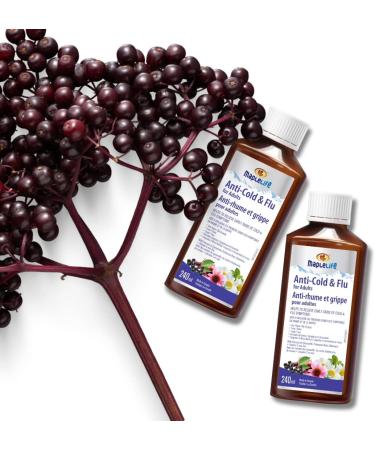 MapleLife Nutrition - Anti Cold and Flu for Adults - Herbal Formula with Extracts of Chamomile Echinacea Elderberry - Vitamin C - Zinc - 240 ml - Buy Online on GoSupps.com