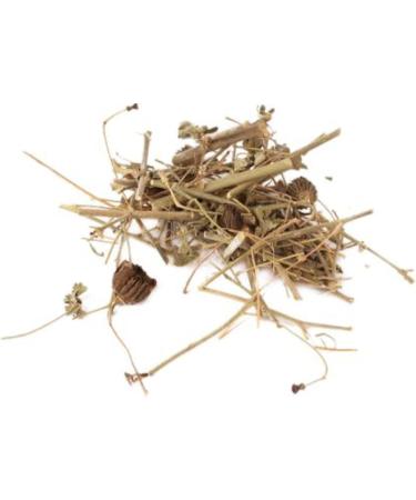 RAW HERBS/JADI BOOTI KANGHI ATIBALA PANCHANG BALBEEJ INDIAN MALLOW ABUTILON INDICUM (100GM) 100 g (Pack of 1) - Buy Online on GoSupps.com